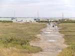173. ID MLD_HWK_025 Mersea History Walk 23.
Pathway across the marsh from Coast Road to the beach wearing away many marsh plants.
Cat1 Mersea-->Beach