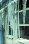 90. ID LH58_001 Icicles on the classroom at West Mersea School.
Cat1 Mersea-->Schools-->Pictures Cat2 Weather
