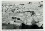46. ID DB11_039_001 Winter 1947 - frozen creeks
Cat1 Weather Cat2 Mersea-->Creeks, fleets, channels, saltings
