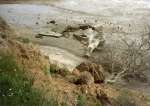 266. ID LNZ_011 Cudmore Grove. WW2 remains on beach.
Cat1 Mersea-->Beach Cat2 War-->World War 2