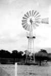 241. ID PUL_OPA_203 Alec Mortlock built it - the windmill at the Boating Lake.
Cat1 Mersea-->Beach