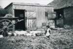 84. ID PH01_KSF_041 Anne feeding the pigs. Summer 1948. Kemps Farm, Peldon.
Anne was born 1946, to Stephen and Gil Wooldridge.
Cat1 Places-->Peldon-->Buildings Cat2 Places-->Peldon-->People