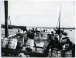 10884. ID BF69_015_010 Barrels, carts and skiffs keep the Hard busy. Brightlingsea hard handling sprats. This copy from a book.
Used in The Stowboaters Page 27.
Cat1 Places-->Brightlingsea Cat2 Fishing