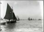 2264. ID BOXP_100_044 A cutter rigged Colne bumkin showing her transom stern, sails upriver amongst a fleet of smacks dredging on the Colne Oyster Fishery about 1905. [JL]
230CK ...
Cat1 Smacks and Bawleys