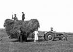 68. ID FL14_003 Farming - on the cart are Sam Webb & Charlie Mole. Ground Bill Jenkins, Page? Mrs Will Simmonds (mother of Pip) driving. On Simmonds (Sadlers) field, just post ...
Cat1 Farming Cat2 People-->Other