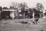  Beach Huts at West Mersea after the 1953 Flood  IA02_011