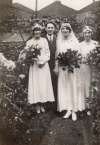 1529. ID KGF_253 Wedding of Arthur Transvaal Greenleaf and Edith Mabel Spurgeon.
Cat1 Families-->Greenleaf