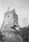 30. ID PLF_003_005 Birch Windmill
Cat1 Birch-->Buildings