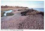 1450. ID REA_002_031 Mersea Island Beach Survey by Bill Read March 2002
Plate 11 St Peter's Well Meadow beach frontage
Cat1 Mersea-->Beach
