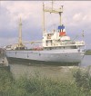 10821. ID SHP_STC_596 JENNIFER leaving Rowhedge Wharf, River Colne. Built 1966 Seitas, Hamburg, 499 tons gross. IMO No. 6616887.
Capsized and lost near Masirah 17 May 2000.
Cat1 Places-->Rowhedge Cat2 Ships and Boats-->Merchant -->Power