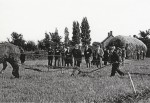 89. ID JCN_012 Ploughing Match on fields at the top of Brierley Avenue. This was the new venue for ploughing matches after WW2. Amongst the spectators are 
Police Constable ...
Cat1 Farming Cat2 Mersea-->Events Cat3 Mersea-->Events